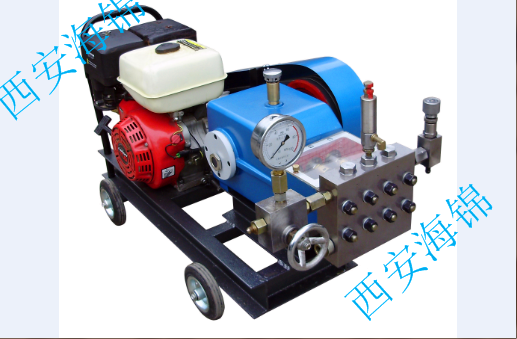 汽油機(jī)驅(qū)動野外試壓泵